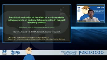 Preclinical evaluation of the effect of a collagen matrix on periodontal regeneration in two-wall intrabony defects