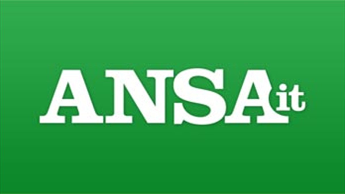 Canale Ansa